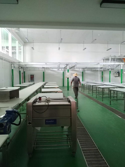 凱斯樂屠宰設備與肉類深加工設備成功落戶云南某廠，全面進入安裝調試階段